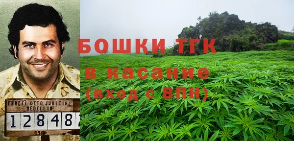 ГАЛЛЮЦИНОГЕННЫЕ ГРИБЫ Лабытнанги
