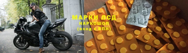 ГАЛЛЮЦИНОГЕННЫЕ ГРИБЫ Лабытнанги
