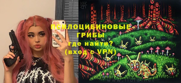 мдпв Ладушкин