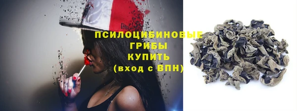ГАЛЛЮЦИНОГЕННЫЕ ГРИБЫ Лабытнанги