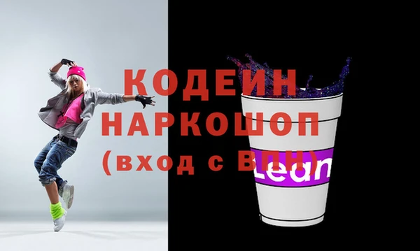 мдпв Ладушкин