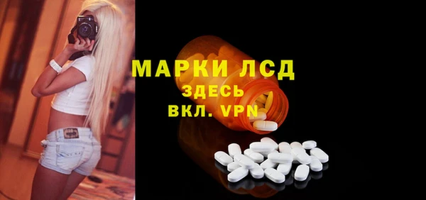 мдпв Ладушкин