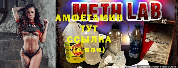 мдпв Ладушкин