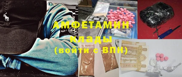 мдпв Ладушкин