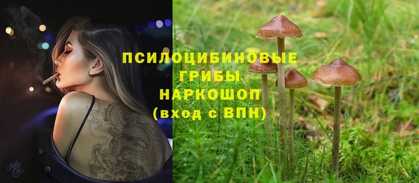 мдпв Ладушкин