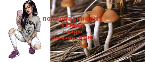 ГАЛЛЮЦИНОГЕННЫЕ ГРИБЫ Лабытнанги
