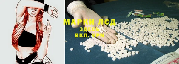 ГАЛЛЮЦИНОГЕННЫЕ ГРИБЫ Лабытнанги