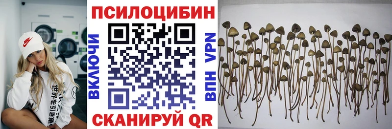 Галлюциногенные грибы мицелий  blacksprut как войти  Лысково 